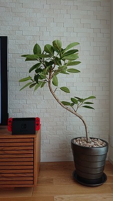 s-DSC_3167.jpg