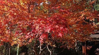 s-DSC_3939.jpg
