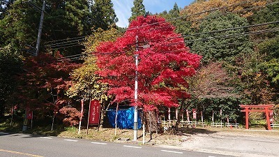 s-DSC_3940.jpg