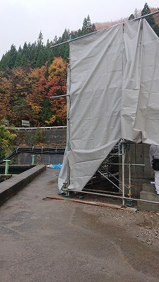 s-DSC_3969.jpg