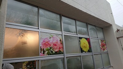 s-DSC_4419.jpg