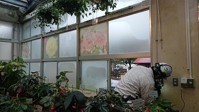 s-DSC_4420.jpg