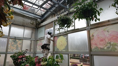s-DSC_4421.jpg