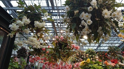 s-DSC_4423.jpg