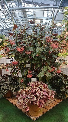 s-DSC_4424.jpg