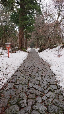 s-DSC_4573.jpg