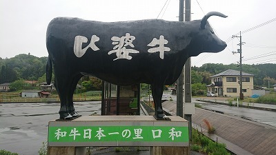 s-DSC_7132.jpg